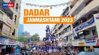 Janmashtami 2023 A Peek Inside DahiHandi Celebrations In Dadar [upl. by Norted]