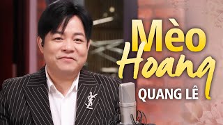 Quang Lê  Mèo Hoang  St Hàn Châu  Official MV [upl. by Bren]