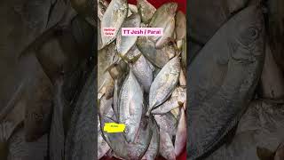 Protein sources  Seafood protein  Fish protein  Fish nutrition  Neithal Selva [upl. by Nuhsar]