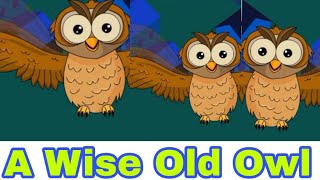 A Wise Old Owl with lyrics  Nursery Rhymes by Amazing entertainment 2021 [upl. by Enicar]