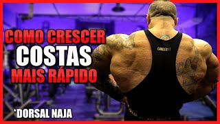 COMO CRESCER COSTAS MAIS RÁPIDO TREINO COMPLETO [upl. by Nnaeitak]