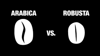 Arabica vs robusta [upl. by Rosaline]