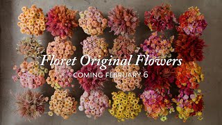 Coming Soon Floret Original Flowers [upl. by Etnoval]