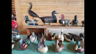 Ocracoke Island Waterfowl Festival showcases wooden duck carvings [upl. by Eirol]