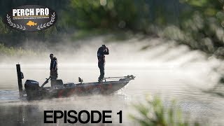 PERCH PRO 5  Episode 1  The Topwater War with German French amp Polish subtitles [upl. by Krystin]