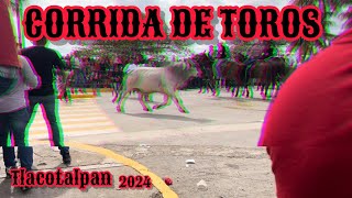 Corrida de toros en Tlacotalpan 2024  Fiestas de la Candelaria [upl. by Ilam810]