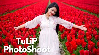 Tulip Photoshoot 2023  Tulip tour Netherlands  Spring Photoshoot  Best Tulip Photos Tulip Fields [upl. by Iene360]