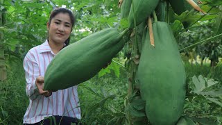 The Biggest Papaya In My Communitys Farm  7kg Giant Papaya Recipes  Cooking By Sreypov [upl. by Gwenny774]