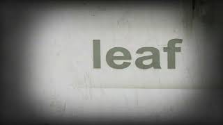 Baby Einstein Baby Shakespeare The Word Leaf in Reversed [upl. by Naut]