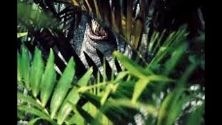 5 Datos curiosos sobre el Tyranosaurio Rex [upl. by Theobald]