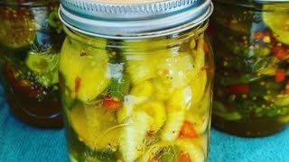 Zesty Bread amp Butter Pickles Canning Recipe [upl. by Hailee]