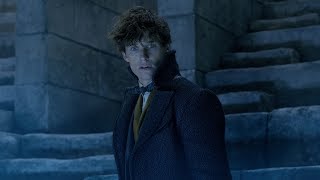 2 “Newt and Theseus” Fantastic Beasts The Secrets of Dumbledore Deleted Scene [upl. by Massie]