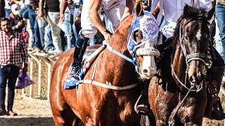 La Carrera Del Siglo  El Payaso Vs El Peligro Vs El Golden Maturity Millonario Tonalá Jalisco Mex [upl. by Etsirhc]