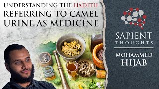 Sapient Thoughts 18 Camel urine as medicine  Mohammed Hijab [upl. by Slen]