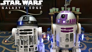 STAR WARS GALAXYS EDGE R SERIES ASTROMECH DROID REVIEW PLUS ACCESSORIES 2019 [upl. by Dranek]