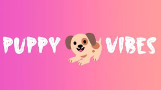 Vibration Sound Your 🐱 Puppy Vibration 🐶 [upl. by Yates848]