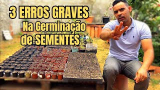 ✔️3 ERROS GRAVES NA GERMINAÇÃO DE SEMENTES DE ROSAS DO DESERTO [upl. by Akoek]