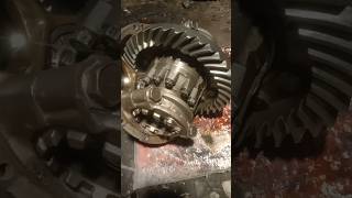 Running Differential Gear canter HD [upl. by Rolph]