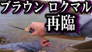 【本流トラウト】ブラウントラウトを追うパート２【渓流ルアー】 [upl. by Zobe]