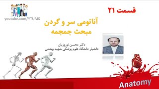 جلسه اول 21  استخوان های جمجمه Skull  آموزش جامع علوم تشریح آناتومی سر و گردن دکتر نوروزیان [upl. by Steffie]