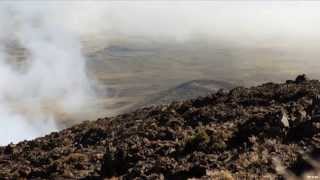 Hunting Mouflon Sheep In Hawaii [upl. by Jamill]