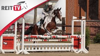 Springreiten lernen Parcours reiten leicht gemacht [upl. by Enairda284]