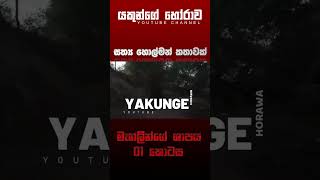 මැගලින්ගේ ශාපය 01  sinhala holman katha  සත්‍ය හොල්මන් කතාවක්  ghost story [upl. by Seldan]