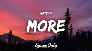 Gatton  More Lyrics [upl. by Annovad456]