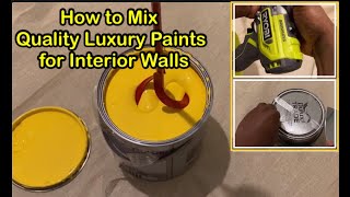 quotPaint Colour Craze PaloozaThe Ultimate Guide to Mastering Wall Paint Mixing Transform your Walls [upl. by Broddie]