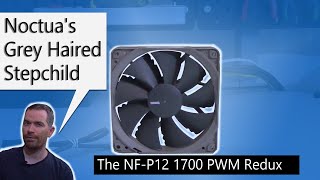 Noctua NFP12 1700 PWM Redux  PC System Fan Review [upl. by Elleon]