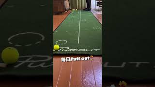 毎日Putt out putter puttout golf パットアウト [upl. by Tobe]