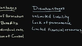 How a Sole Proprietorship Works  Introduction to Legal Structures [upl. by Eydie]