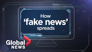 Fake News explained How disinformation spreads [upl. by Douglass299]