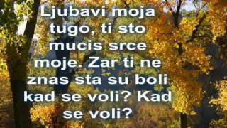 TOZOVAC Predrag Zivkovic JESEN U MOM SOKAKU [upl. by Kwang]