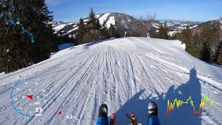 Rodeln Allgäu  Rodel Abfahrt Hochgrat mit Speed [upl. by Dynah444]