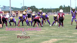 Batesburg Leesville vs Pelion Youth Full Game Highlights [upl. by Enoch]