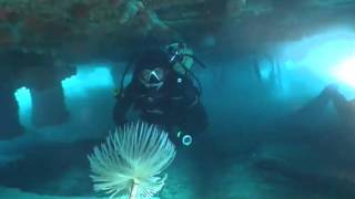 The Wreck of HMS Cricket  Viking Divers Larnaca Cyprus [upl. by Nets543]