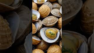 Almejas en Salsa Verde ¡Receta de la Abuela que Nunca Falla 🐚 [upl. by Ierbua]