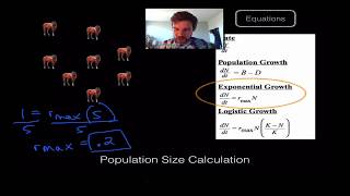 Population Ecology and Growth [upl. by Aenotna405]