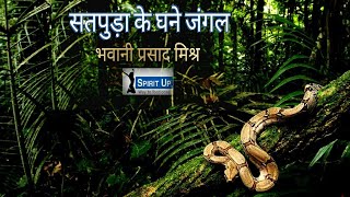 SATPURA Ke Ghane Jungle  Bhawani Prasad Mishra Real Feeling Song [upl. by Pagas]