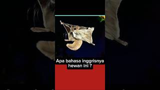 Tebak yuk Apa bahasa inggrisnya hewan ini  shortstrending shortvideo quiz [upl. by Dot]