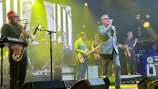 Madness  Night Boat to Cairo  Live  Sjock Festival 8 July 2022 [upl. by Anaeel995]