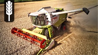 Getreideernte 2017 Lauingen  Claas Lexion  Deutz Agroton [upl. by Eelatan96]