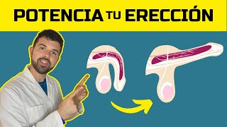 Los 5 Trucos SECRETOS para ERECCIONES más Potentes HAZ ESTO para mejorar TUS erecciones [upl. by Ashti342]