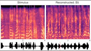 Reconstructed sounds under natural sound listening conditions Park et al 2024 S1 [upl. by Aihseuqal]