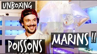 UNBOXING  DES CENTAINES DE POISSONS MARINS   VLOG TOOPET [upl. by Jollanta]