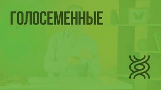 Голосеменные Видеоурок по биологии 5 класс [upl. by Temp]