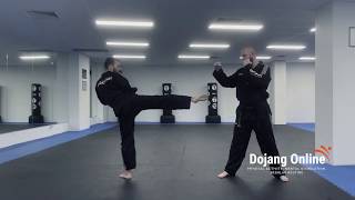 How to do an Instep kick [upl. by Farrar]