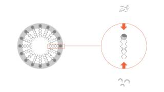 What is a micelle [upl. by Giselbert]