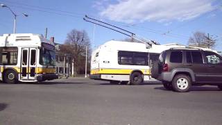 Boston Trolleybuses Trackless Trolleys HD [upl. by Juieta988]